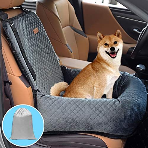 Hunde Autositz Test ☀️ » die BESTEN im Vergleich » 2024