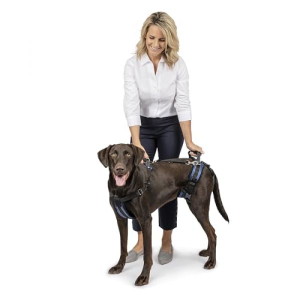 Hebehilfe zur Brust- und Hüfthebung von PetSafe